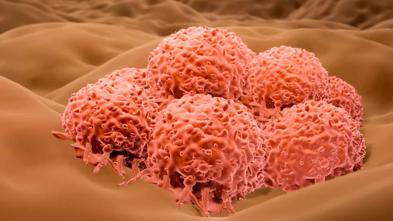Cancer Medicine: കാൻസർ മരുന്നുകളുടെ വില 70 ശതമാനത്തോളം കുറയും; നിർണായക തീരുമാനവുമായി കേന്ദ്രസർക്കാർ Cancer Medicine: കാൻസർ മരുന്നുകളുടെ വില 70 ശതമാനത്തോളം കുറയും; നിർണായക തീരുമാനവുമായി കേന്ദ്രസർക്കാർ