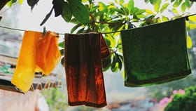 വസ്ത്രങ്ങളിലെ കരിമ്പൻ കളയാൻ, വീട്ടിലെന്ത് ചെയ്യാം