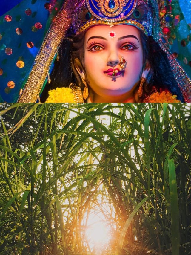 ദുർഗ്ഗാദേവിക്ക് കരിമ്പ് എങ്ങനെ പ്രധാന നിവേദ്യമായി?