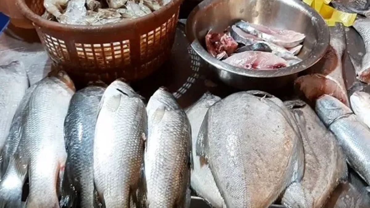 രക്ത ഗ്രൂപ്പ് AB (AB+, AB-)
താരതമ്യേന പുതിയൊരു രക്തഗ്രൂപ്പാണിത് നിങ്ങൾ കൂടുതൽ ടർക്കിയുടെ ഇറച്ചി, കടൽ വിഭവങ്ങൾ, മിക്സഡ് വെജിറ്റബിൾസ് എന്നിവ കഴിക്കണം.