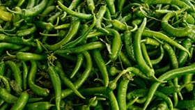 Green Chilli Storage Tips: പച്ചമുളകിൻ്റെ ഞെട്ട് കളഞ്ഞ് ഫ്രിഡ്ജിൽ വെച്ചാൽ സംഭവിക്കുന്നത് കണ്ടോ? ഇത് അറിഞ്ഞിരിക്കണം...