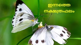 പുതിയ സംരംഭങ്ങൾ ആരംഭിക്കും, സ്ഥാനക്കയറ്റം; ഇന്നത്തെ നക്ഷത്രഫലം
