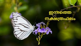 വിജയദശമിയിൽ നേട്ടങ്ങളും സാമ്പത്തിക ലാഭവും; ഇന്നത്തെ നക്ഷത്രഫലം