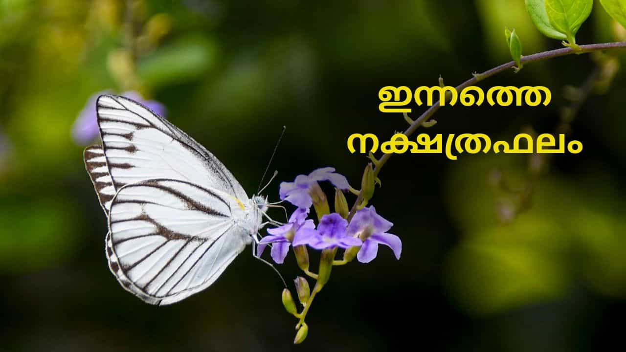 Horoscope Today: വിജയദശമിയിൽ നേട്ടങ്ങളും സാമ്പത്തിക ലാഭവും; ഇന്നത്തെ നക്ഷത്രഫലം Horoscope Today: വിജയദശമിയിൽ നേട്ടങ്ങളും സാമ്പത്തിക ലാഭവും; ഇന്നത്തെ നക്ഷത്രഫലം