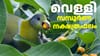 കൂടുതൽ പേരെയും കാത്തിരിക്കുന്നത് മനപ്രയാസം തന്നെ! നക്ഷത്രഫലം...