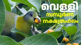കൂടുതൽ പേരെയും കാത്തിരിക്കുന്നത് മനപ്രയാസം തന്നെ! നക്ഷത്രഫലം
