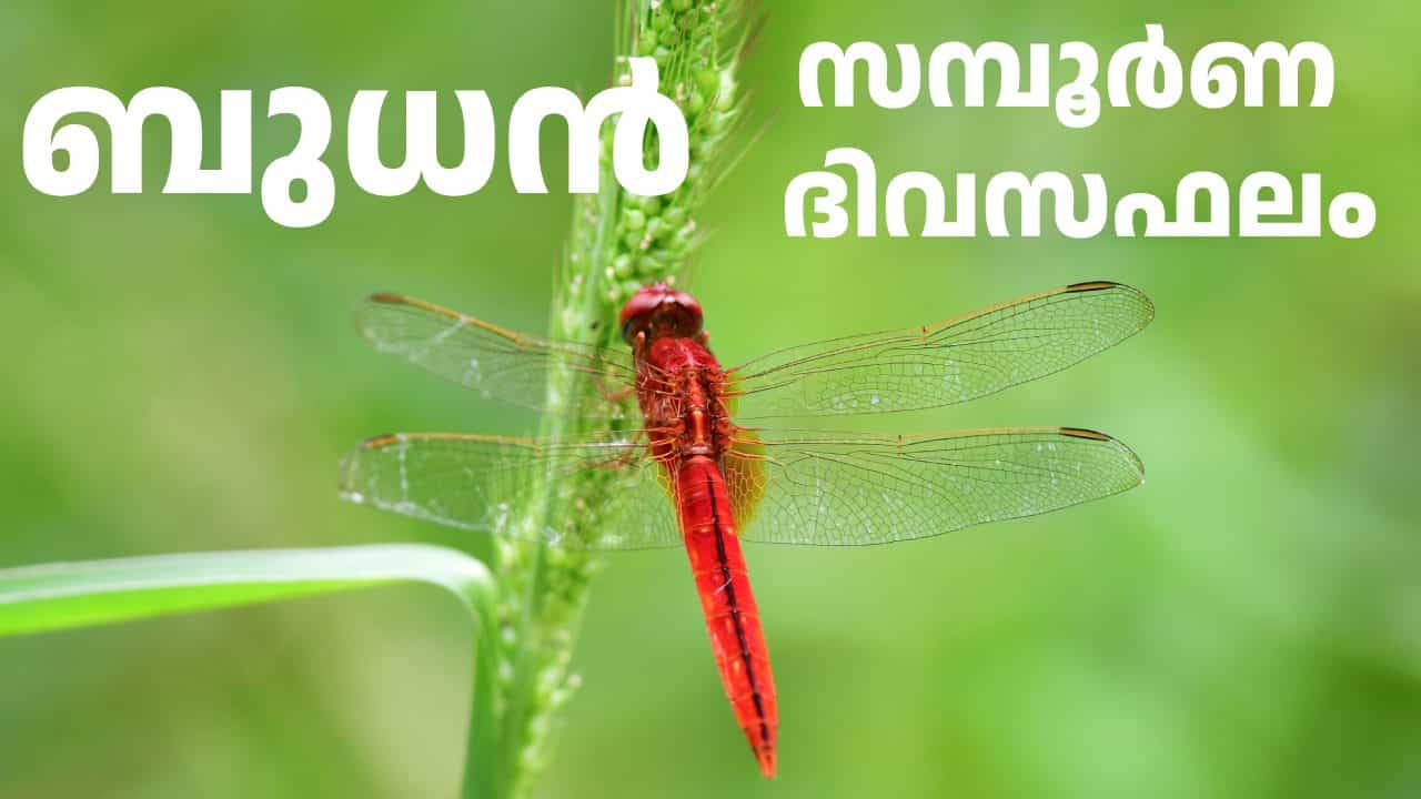 Horoscope Today: ഇന്ന് മൂന്ന് നക്ഷത്രക്കാർ ഇരുചക്ര വാഹന യാത്രകളിൽ പ്രത്യേകം സൂക്ഷിക്കണം Horoscope Today: ഇന്ന് മൂന്ന് നക്ഷത്രക്കാർ ഇരുചക്ര വാഹന യാത്രകളിൽ പ്രത്യേകം സൂക്ഷിക്കണം