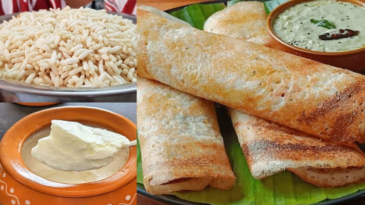  ദോശ കഴിക്കാൻ ഇഷ്ടപ്പെടുന്നവരാണ് നമ്മിൽ ഭൂരിഭാഗവും. അതിനാൽ തന്നെ ഇന്ന് വിവിധ തരത്തിലുള്ള ദോശകളും ലഭ്യമാണ്. മസാല ദോശ, നെയ്റോസ്റ്റ്, ചോക്ലേറ്റ് ദോശ, ചിക്കൻ ദോശ എന്നിങ്ങനെ ദോശയിൽ വൈവിധ്യങ്ങൾ ഉള്ള ഈ കാലത്ത് അരിയും ഉഴുന്നും അടിച്ചു കഷ്ടപ്പെടാതെ ഇന്‍സ്റ്റന്‍റ് ആയിട്ടുള്ള ഒരു ദോശമാവ് കൊണ്ട് രുചികരമായ ദോശ എങ്ങനെ തയ്യാറാക്കാം എന്നാണ് ഇവിടെ പറയുന്നത്.(IMAGE CREDIT SOURCE:TV9 NETWORK)