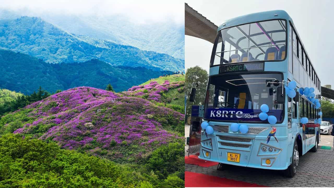 KSRTC October Packages: നിങ്ങൾ റെഡിയല്ലേ? കെഎസ്ആർടിസിക്കൊപ്പം ഈ മാസം പോക്കറ്റ് കാലിയാകാതെ കറങ്ങാം KSRTC October Packages: നിങ്ങൾ റെഡിയല്ലേ? കെഎസ്ആർടിസിക്കൊപ്പം ഈ മാസം പോക്കറ്റ് കാലിയാകാതെ കറങ്ങാം