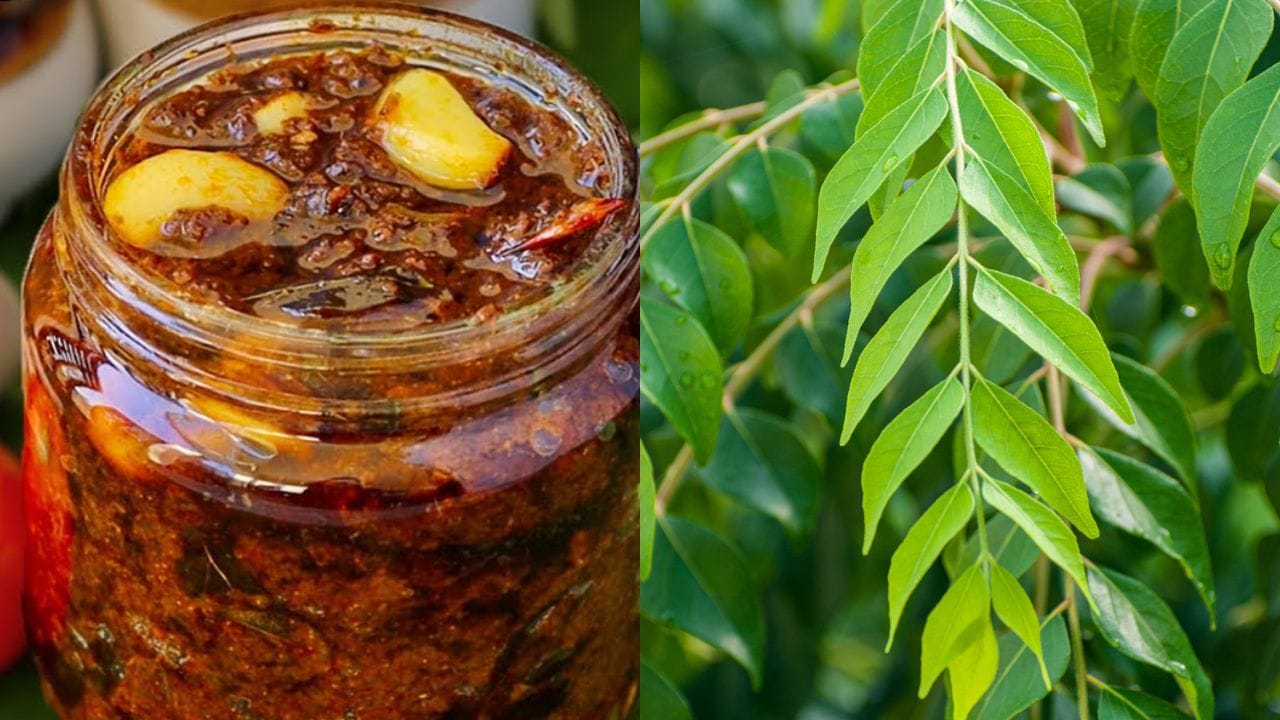 ഇതിന് പ്രധാനമായും ആവശ്യം കറിവേപ്പില 50 ഗ്രാം, വാളൻപുളി 30 ഗ്രാം കുരു കളഞ്ഞത്, എള്ളെണ്ണ മൂന്ന് ടേബിൾ സ്പൂൺ, ചെറിയ ജീരകം അര ടീസ്പൂൺ, കടലപ്പരിപ്പ് രണ്ട് ടേബിൾ സ്പൂൺ, വെളുത്തുള്ളി തൊലി കളഞ്ഞ് വൃത്തിയാക്കിയത് 15 എണ്ണം, മുളകുപൊടി 4 ടേബിൾ സ്പൂൺ, മഞ്ഞൾപൊടി ഒരു ടീസ്പൂൺ,