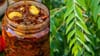 കറിവേപ്പിലയും പുളിയും വെളുത്തുള്ളിയും അരച്ചെടുക്കൂ! രുചികരമായ......