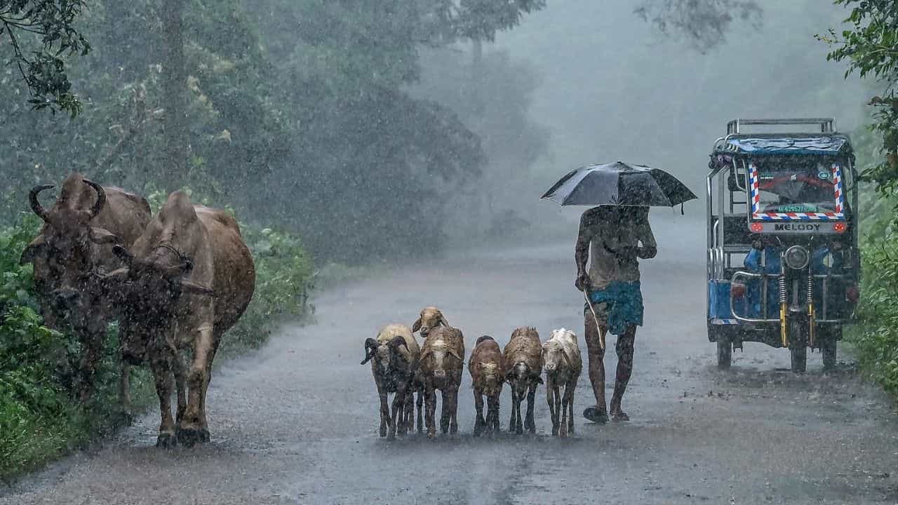 Kerala Weather Update: ചക്രവാതച്ചുഴിയും തുലാവർഷവും...; സംസ്ഥാനത്ത് വീണ്ടും മഴ ശക്തമാകുന്നു Kerala Weather Update: ചക്രവാതച്ചുഴിയും തുലാവർഷവും...; സംസ്ഥാനത്ത് വീണ്ടും മഴ ശക്തമാകുന്നു