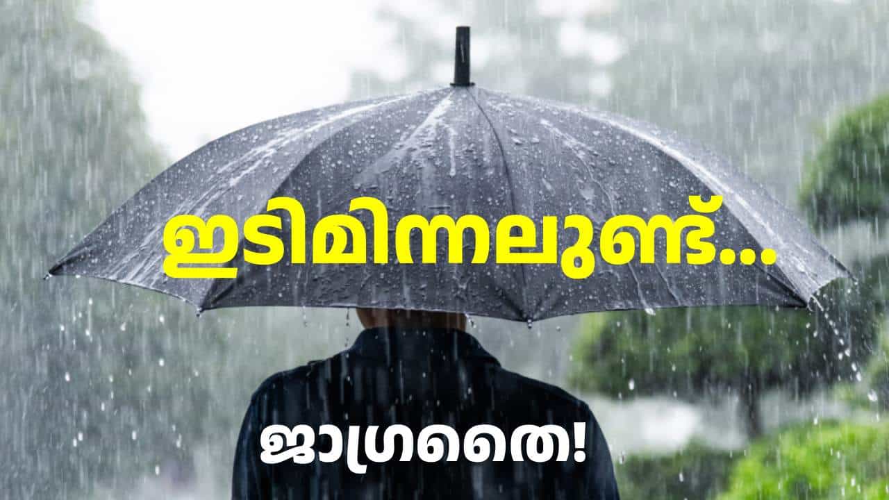 തുലാം തുടങ്ങും മുമ്പ് ഒരു ട്രയൽ: വ്യാഴം, വെള്ളി, ശനി ദിവസങ്ങളിൽ കനത്ത മഴ വരുന്നു; യെല്ലോ അലർട്ടുള്ള ജില്ലകൾ തുലാം തുടങ്ങും മുമ്പ് ഒരു ട്രയൽ: വ്യാഴം, വെള്ളി, ശനി ദിവസങ്ങളിൽ കനത്ത മഴ വരുന്നു; യെല്ലോ അലർട്ടുള്ള ജില്ലകൾ