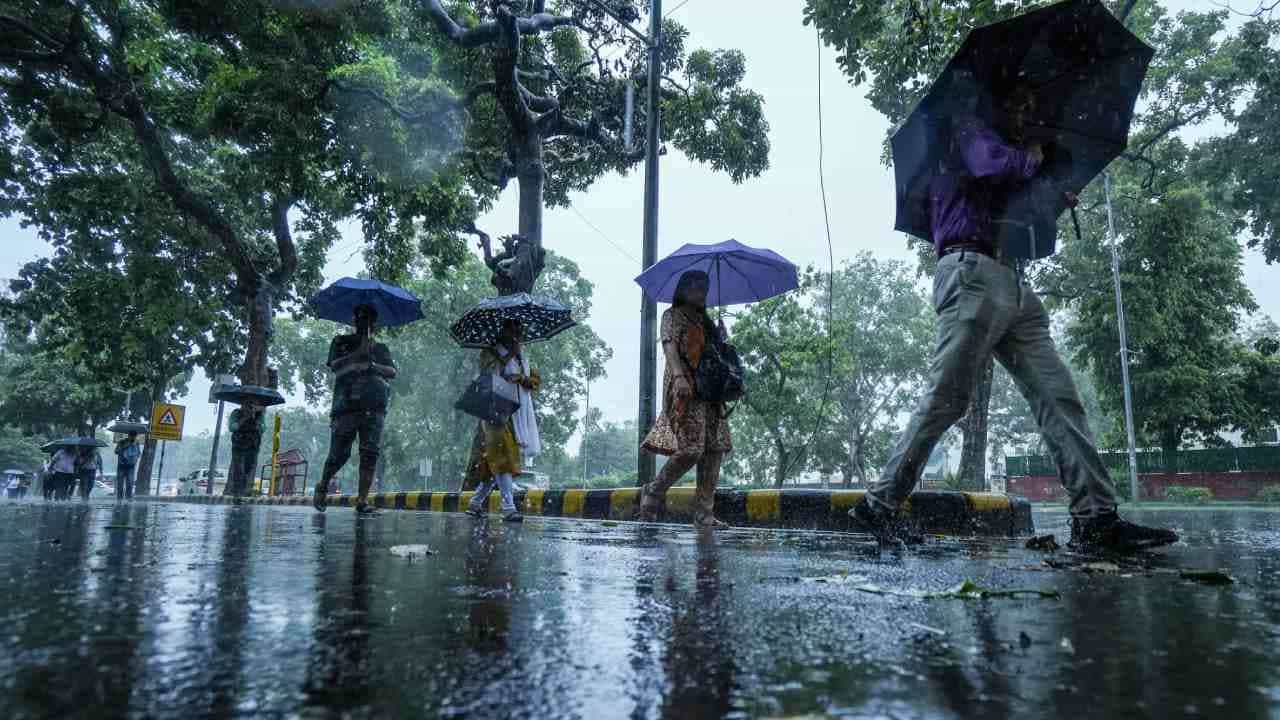 Kerala Weather Update: ഇന്ന് ഒറ്റപ്പെട്ട നേരിയ മഴ മാത്രം, നാളെ മൂന്ന് ജില്ലകളിൽ ശക്തമായ മഴ, യെല്ലോ അലർട്ട് Kerala Weather Update: ഇന്ന് ഒറ്റപ്പെട്ട നേരിയ മഴ മാത്രം, നാളെ മൂന്ന് ജില്ലകളിൽ ശക്തമായ മഴ, യെല്ലോ അലർട്ട്