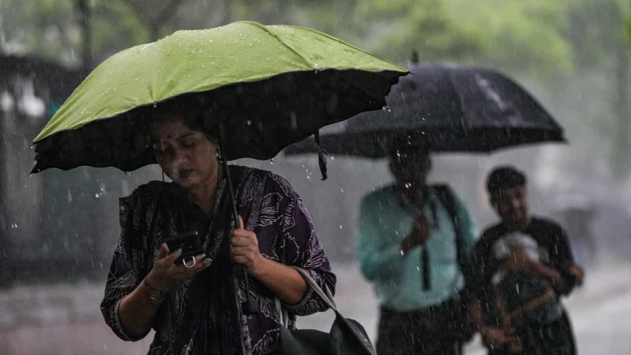 Kerala Weather Update: മഴ ശക്തമാകുന്നു, വിവിധ ജില്ലകളിൽ യെല്ലോ അലർട്ട് , അടുത്ത അഞ്ച് ദിവസത്തെ കാലാവസ്ഥാ പ്രവചനം ഇങ്ങനെ Kerala Weather Update: മഴ ശക്തമാകുന്നു, വിവിധ ജില്ലകളിൽ യെല്ലോ അലർട്ട് , അടുത്ത അഞ്ച് ദിവസത്തെ കാലാവസ്ഥാ പ്രവചനം ഇങ്ങനെ