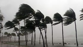 മഴയുടെ മട്ട് മാറുന്നു! 14 ജില്ലകളിലും ഓറഞ്ച്, യെല്ലോ അ‌ലർട്ടുകൾ
