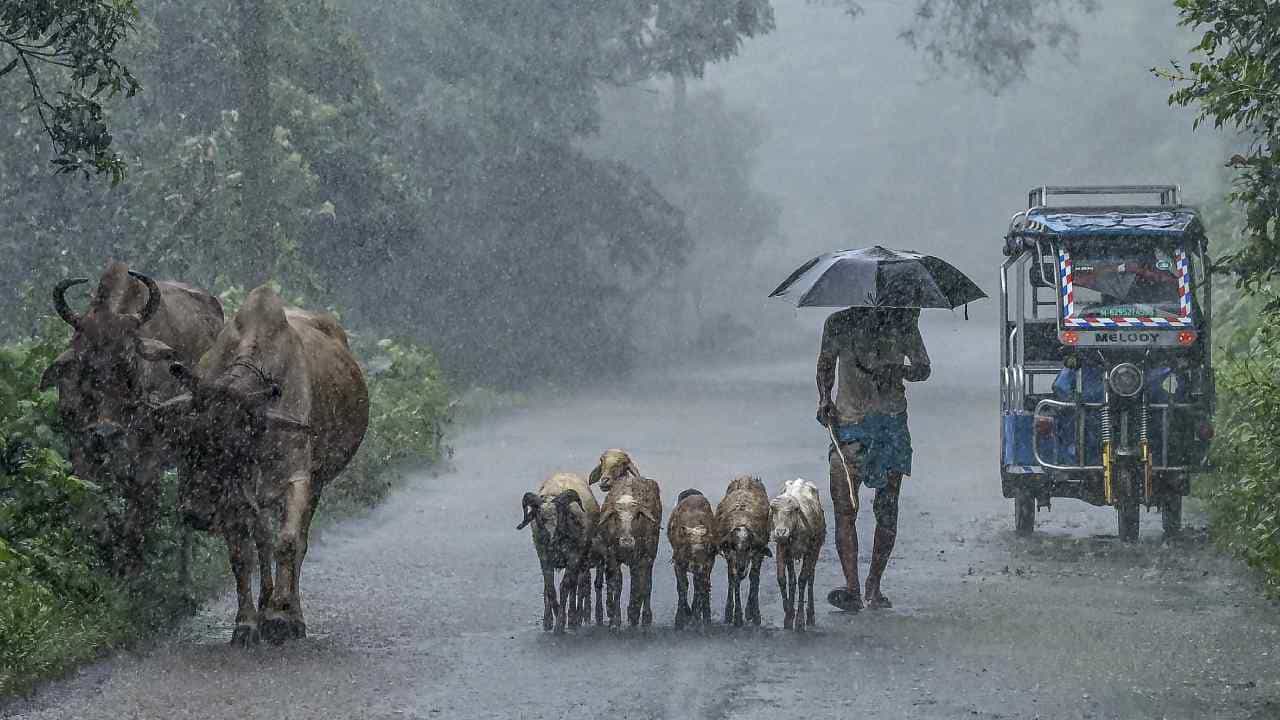 Kerala Weather Update: ഇടിമിന്നലോടുകൂടി ശക്തമായ മഴ ഇന്നുണ്ട്, നാല് ജില്ലകളിൽ യെല്ലോ അലർട്ട് Kerala Weather Update: ഇടിമിന്നലോടുകൂടി ശക്തമായ മഴ ഇന്നുണ്ട്, നാല് ജില്ലകളിൽ യെല്ലോ അലർട്ട്