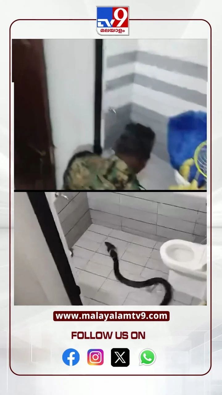 ബെൽറ്റാണെന്നോർത്തു നോക്കിയപ്പോൾ, രാജവെമ്പാല
