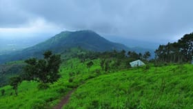 മലബാറിൻ്റെ ഊട്ടിയിലേക്ക് ഒരു യാത്ര; കൊടിക്കുത്തിമലയിലേക്ക്...
