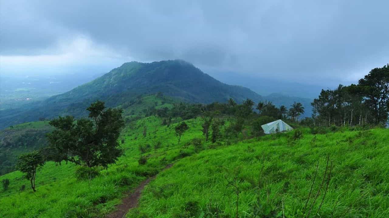 Kodikuthimala Travel Guide: മലബാറിൻ്റെ ഊട്ടിയിലേക്ക് ഒരു യാത്ര; കൊടിക്കുത്തിമലയിലേക്ക് പോകുമ്പോൾ അറിയേണ്ടത് Kodikuthimala Travel Guide: മലബാറിൻ്റെ ഊട്ടിയിലേക്ക് ഒരു യാത്ര; കൊടിക്കുത്തിമലയിലേക്ക് പോകുമ്പോൾ അറിയേണ്ടത്