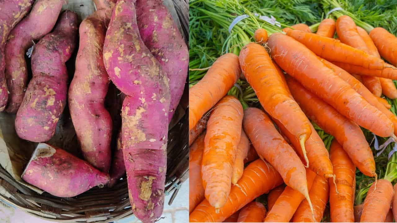 Liver Health Foods: ഫാറ്റി ലിവറിന് ഗുഡ്ബൈ! കരളിൻ്റെ പ്രവർത്തനം ഇരട്ടിയാക്കാൻ ഇവ കഴിക്കണം Liver Health Foods: ഫാറ്റി ലിവറിന് ഗുഡ്ബൈ! കരളിൻ്റെ പ്രവർത്തനം ഇരട്ടിയാക്കാൻ ഇവ കഴിക്കണം