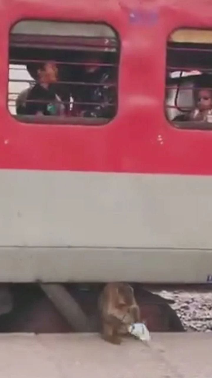 എനിക്കിഷ്ടപ്പെട്ടു, ഞാൻ എടുക്കുന്നു