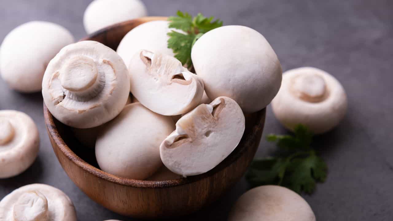 Mushroom City: ഒരു നാട് മുഴുവൻ കൂൺ കൃഷി! ഇന്ത്യയിലെ ആ മഷ്റൂം സിറ്റി ഏതാണ്? Mushroom City: ഒരു നാട് മുഴുവൻ കൂൺ കൃഷി! ഇന്ത്യയിലെ ആ മഷ്റൂം സിറ്റി ഏതാണ്?