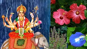നവരാത്രിയിൽ വീട്ടിൽ ഈ ചെടികളിൽ ഏതെങ്കിലും ഒന്ന് നടൂ! ദേവി...