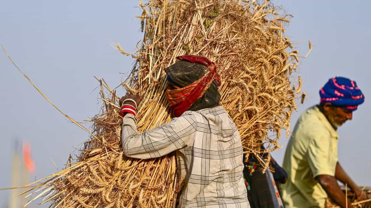 വാർദ്ധക്യത്തെ നേരിടാൻ ഇന്ത്യ സജ്ജം? കാത്തിരിക്കുന്നത് വലിയ പ്രതിസന്ധി വാർദ്ധക്യത്തെ നേരിടാൻ ഇന്ത്യ സജ്ജം? കാത്തിരിക്കുന്നത് വലിയ പ്രതിസന്ധി