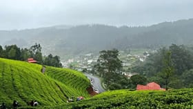 ഊട്ടിയിലേക്ക് ഓടാൻ വരട്ടെ; വഴിയിൽ വൻ ബ്ലോക്ക്, അറിയാം