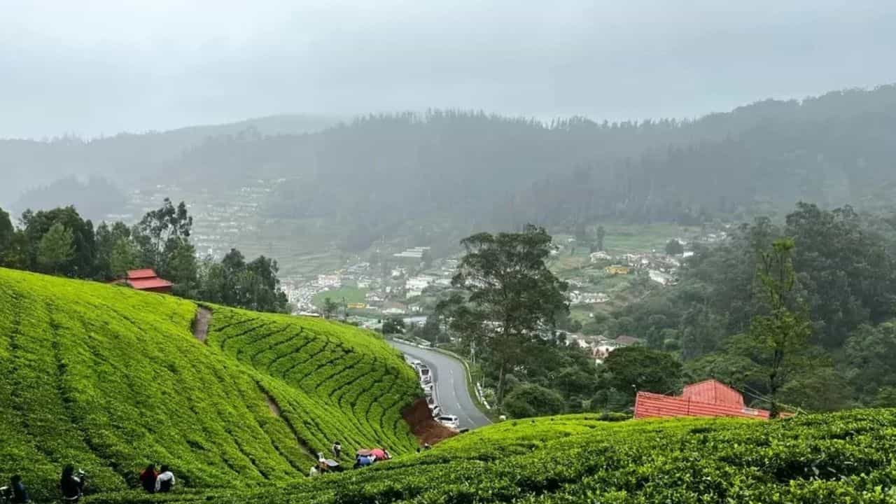 Ooty Travel Guide: ഊട്ടിയിലേക്ക് ഓടാൻ വരട്ടെ; വഴിയിൽ വൻ ബ്ലോക്ക്, യാത്രാക്കുരുക്കിനെക്കുറിച്ച് അറിയാം