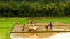 PM Kisan പദ്ധതിയിൽ ചേരാം; 60 കഴിഞ്ഞാൽ മാസം 3000 രൂപ പെൻഷൻ...
