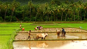 PM Kisan പദ്ധതിയിൽ ചേരാം; 60 കഴിഞ്ഞാൽ മാസം 3000 രൂപ പെൻഷൻ