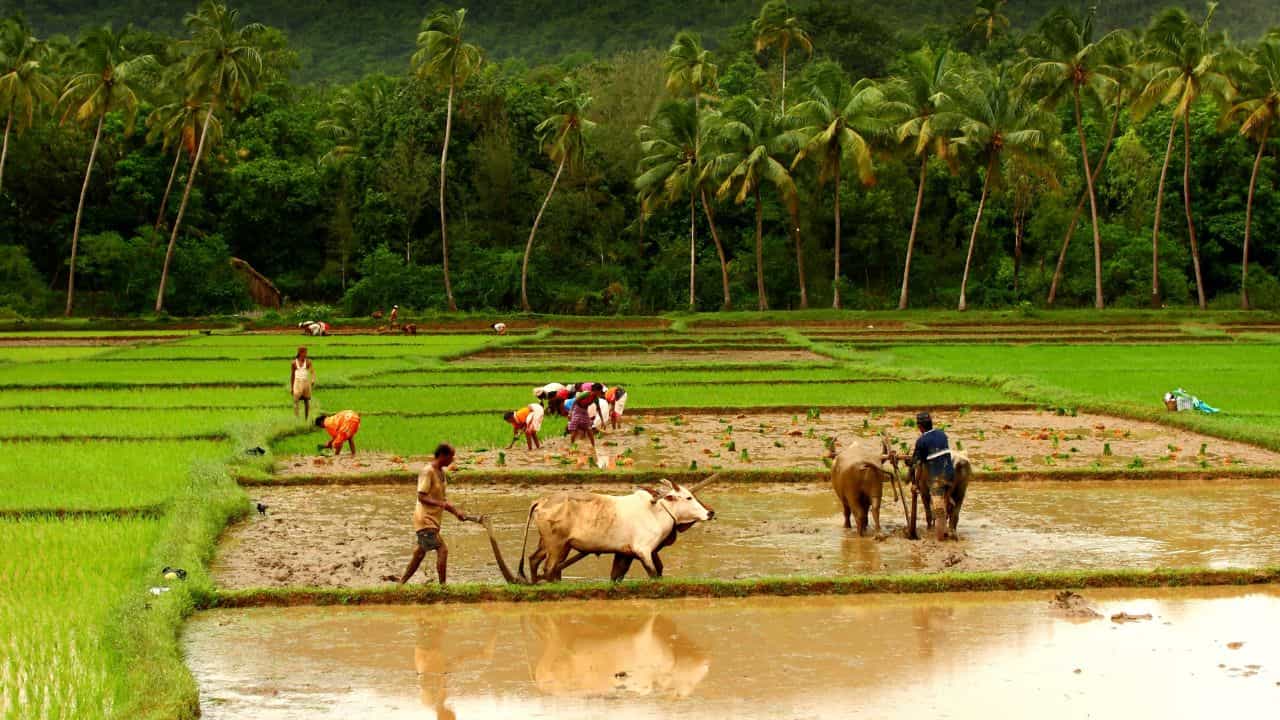 PM Kisan പദ്ധതിയിൽ ചേരാം; 60 കഴിഞ്ഞാൽ മാസം 3000 രൂപ പെൻഷൻ PM Kisan പദ്ധതിയിൽ ചേരാം; 60 കഴിഞ്ഞാൽ മാസം 3000 രൂപ പെൻഷൻ