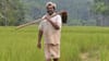 പദ്മശ്രീ ചെറുവയൽ രാമൻ അന്തരിച്ചു...