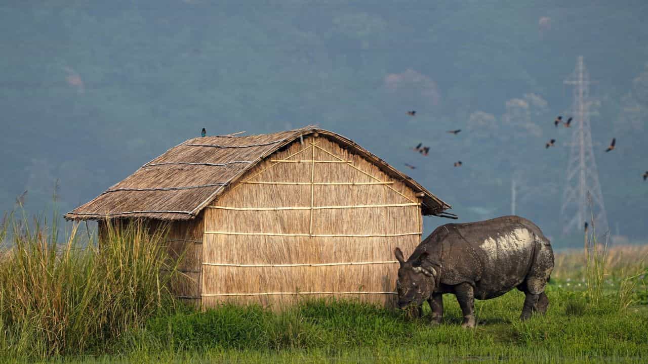 ഒരു കുടിലിൽ നിന്നും രൂപം കൊണ്ട നിയമം, രാജ്യം ഉറ്റുനോക്കിയ മാറ്റം ഒരു കുടിലിൽ നിന്നും രൂപം കൊണ്ട നിയമം, രാജ്യം ഉറ്റുനോക്കിയ മാറ്റം