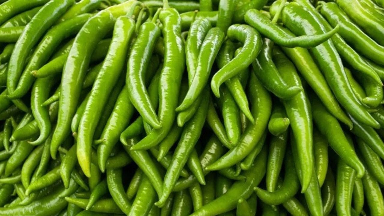 Storing Green Chillies In Fridge