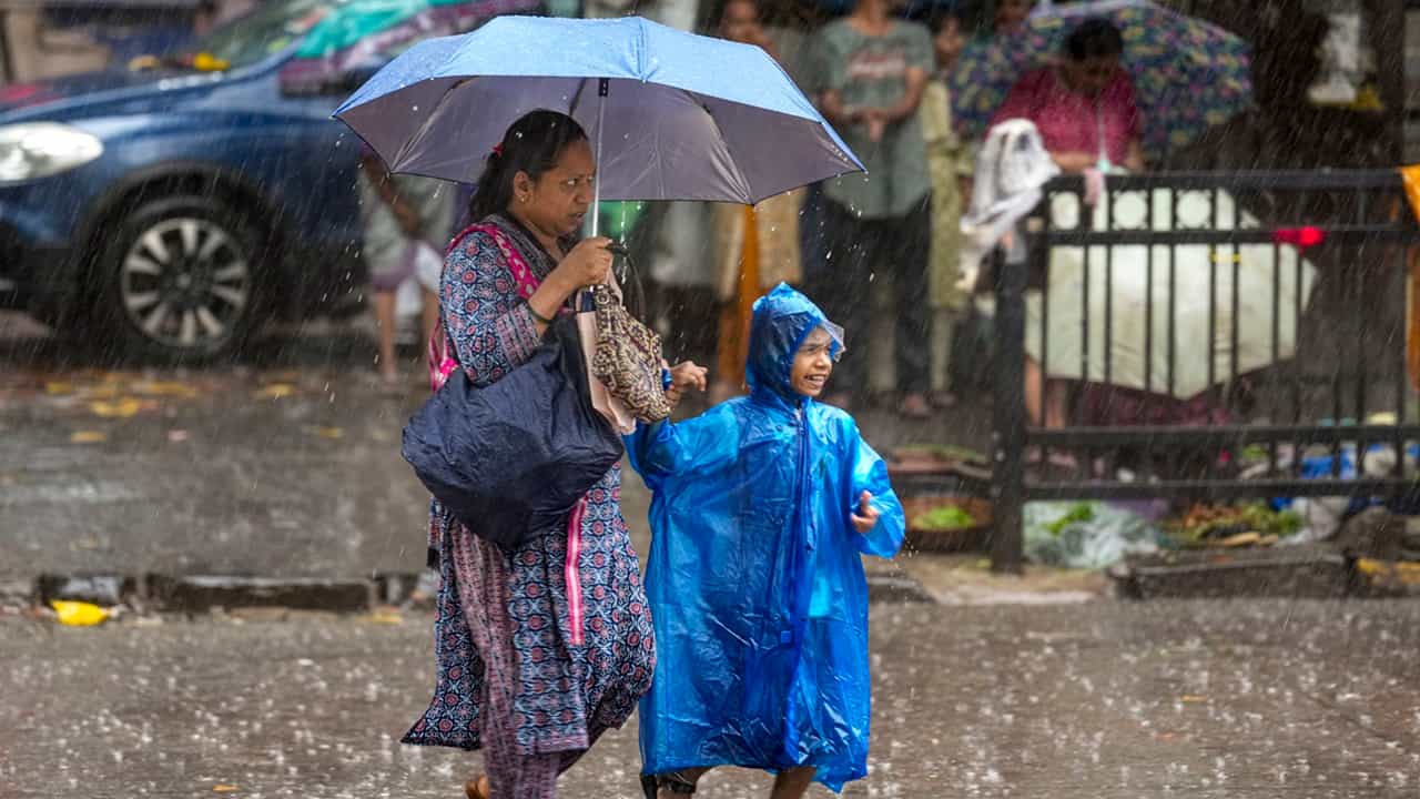 Kerala School Holiday: കനത്ത മഴ; നാളെയും വീട്ടിലിരിക്കാം; അവധി പ്രഖ്യാപിച്ച് കളക്ടര് Kerala School Holiday: കനത്ത മഴ; നാളെയും വീട്ടിലിരിക്കാം; അവധി പ്രഖ്യാപിച്ച് കളക്ടര്