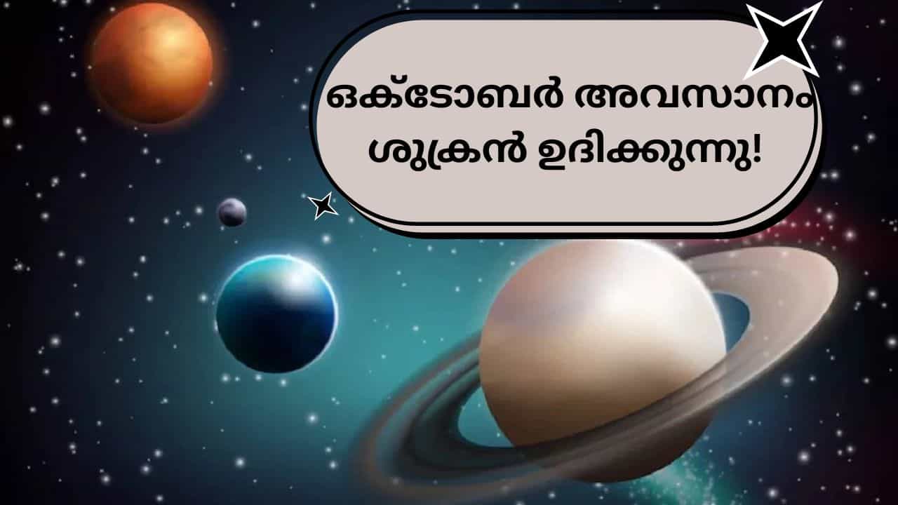 Venus Rise: സാമ്പത്തിക പ്രശ്നം അകലും, ദാമ്പത്യം മനോഹരമാകും; ഒക്ടോബർ അവസാനം ശുക്രൻ ഉദിക്കുന്നു! Venus Rise: സാമ്പത്തിക പ്രശ്നം അകലും, ദാമ്പത്യം മനോഹരമാകും; ഒക്ടോബർ അവസാനം ശുക്രൻ ഉദിക്കുന്നു!