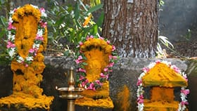 മനസ്സും ശരീരവും സർപ്പപാദങ്ങളിൽ അർപ്പിച്ച്; വെട്ടിക്കോട്ട് ആയില്യം