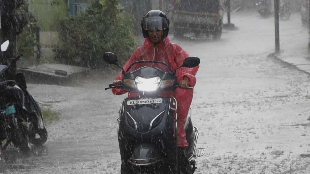 Wayanad Tourist Spot Closed: വയനാട്ടിൽ കർശന നിയന്ത്രണം; വിനോദസഞ്ചാരത്തിനും ട്രക്കിങ്ങിനും പൂർണ്ണ വിലക്ക്