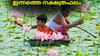 പുതിയ സംരംഭങ്ങൾ തുടങ്ങിയേക്കും, ഇന്നത്തെ നക്ഷത്രഫലം...