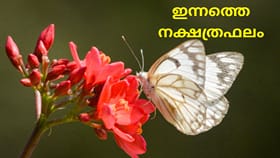 അംഗീകാരവും സാമ്പത്തിക നേട്ടങ്ങളും തേടിയെത്തും;ഇന്നത്തെ നക്ഷത്രഫലം