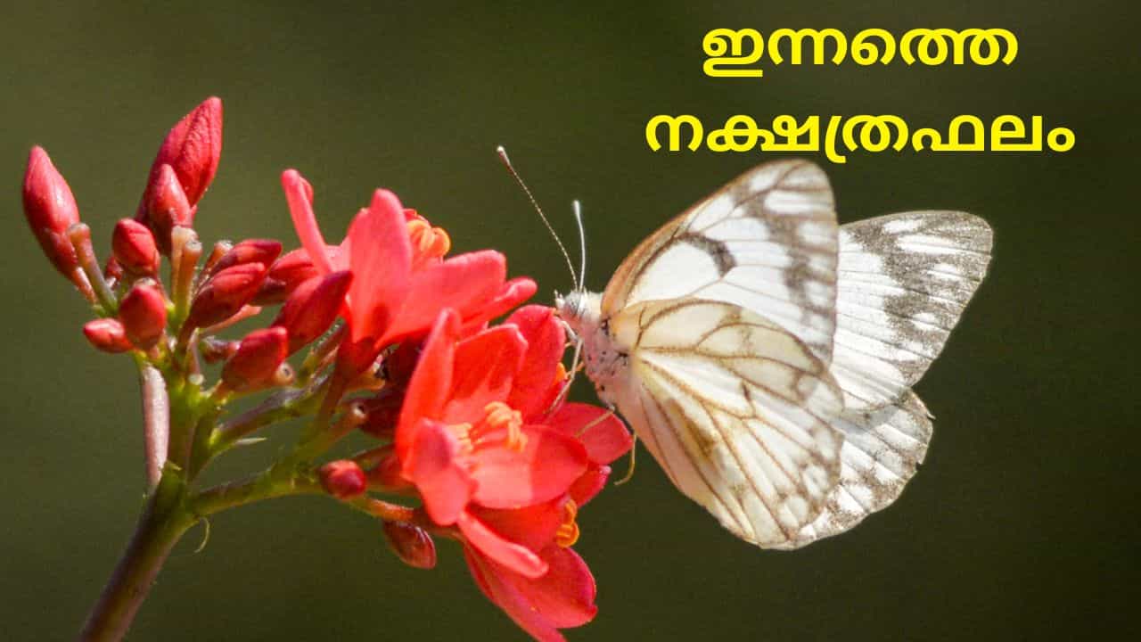 Horoscope Today: അംഗീകാരവും സാമ്പത്തിക നേട്ടങ്ങളും തേടിയെത്തും; ഇന്നത്തെ നക്ഷത്രഫലം Horoscope Today: അംഗീകാരവും സാമ്പത്തിക നേട്ടങ്ങളും തേടിയെത്തും; ഇന്നത്തെ നക്ഷത്രഫലം