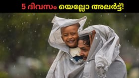 ചക്രവാതച്ചുഴി! അടുത്ത 5 ദിവസവും മഴ തകർക്കും; യെല്ലോ അലർട്ട്