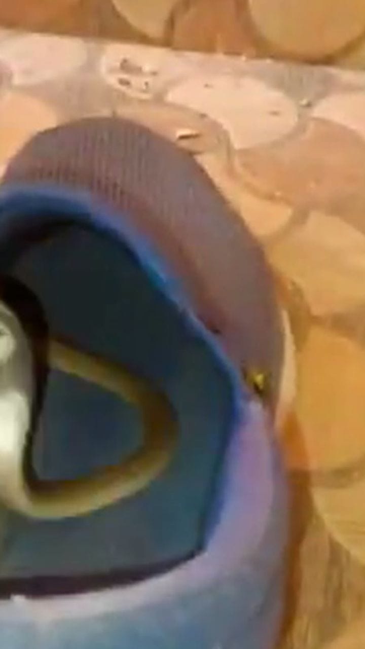ഷൂവിടുമ്പോൾ ശ്രദ്ധിച്ചില്ലെങ്കിൽ