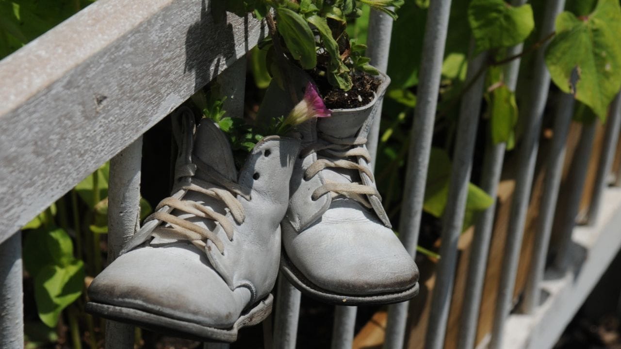 പഴയ സ്പോർട്സ് ഷൂസുകൾ, കാൻവാസ് ഷൂസുകൾ, നീളമുള്ള ബൂട്ടുകൾ എന്നിവയിൽ മണ്ണ് നിറച്ച് ചെറിയ ചെടികൾ നടാം. പത്തു മണിപ്പൂവ്, പെപ്പറോമിയ, സക്കുലന്റുകൾ, ചെറിയ പച്ചക്കറികൾ എന്നിവ ഇതിൽ നന്നായി വളരും. വെള്ളം വാർന്നുപോകാനായി ഷൂസിന്റെ അടിഭാഗത്ത് ചെറിയ 2-3 ദ്വാരങ്ങൾ ഇട്ട്, അടിയിൽ കുറച്ച് ചരൽക്കല്ലുകളും മുകളിൽ ചാണകപ്പൊടിയും മണ്ണും ചേർത്ത മിശ്രിതവും നിറച്ച് ചെടികൾ നടാം. (Image Credit source: Getty Images)